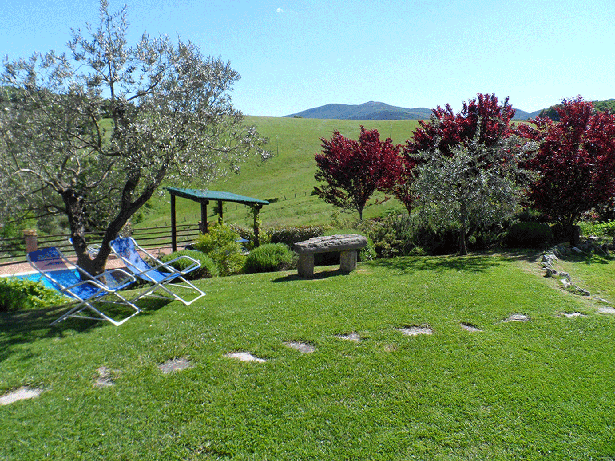 Giardino